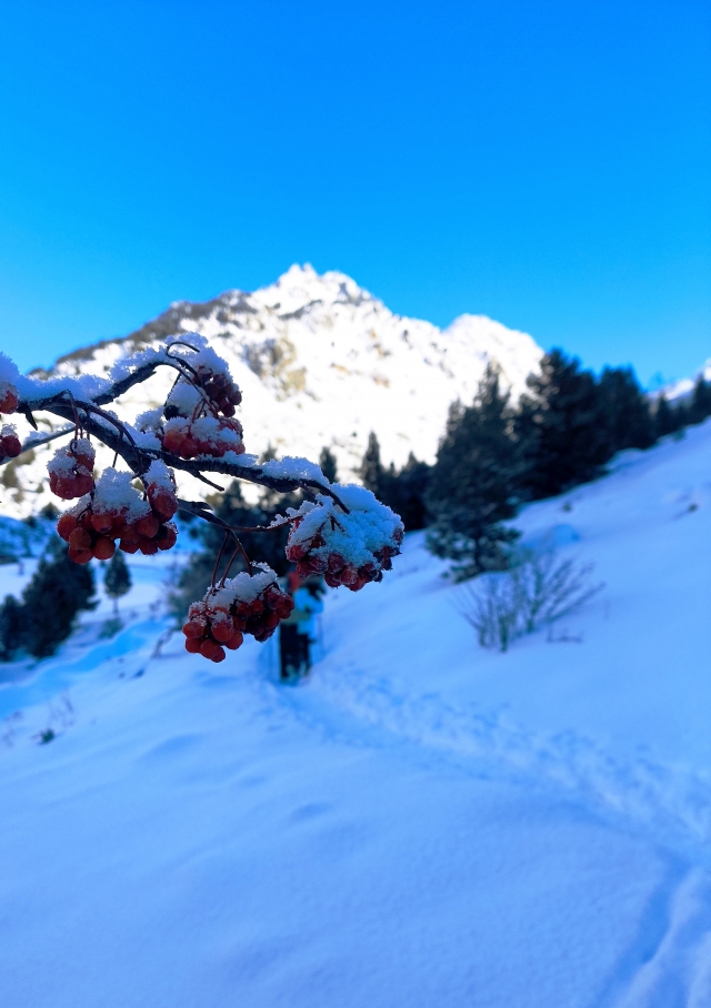 Bewertung von Javier Über Schneeschuhwanderung durch das Incles Valley