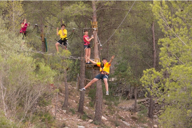 Circuito aéreo entre árboles
