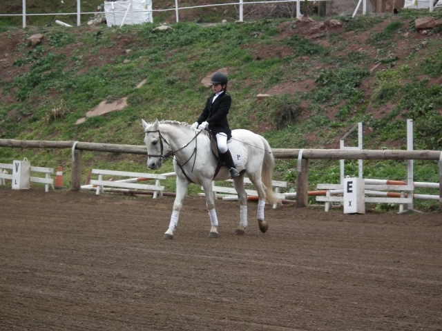 Entrenamiento en la pista hipica