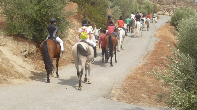  Équitation dans le camp de Grenade 