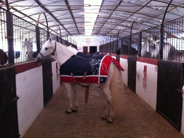 Zona de boxes