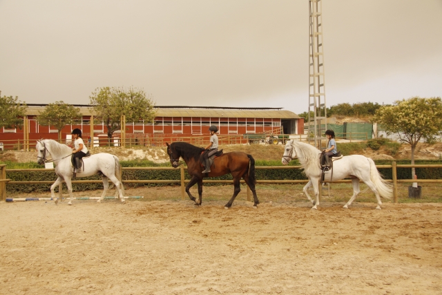 Clase de equitacion