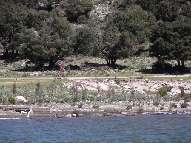  树木繁茂的景观 