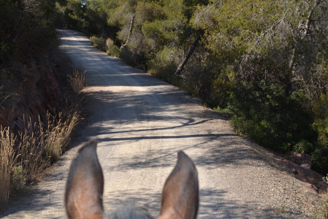 Ruta a caballo Valencia