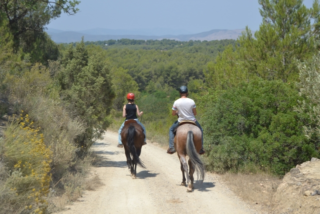 Ruta a caballo Parque del Turia
