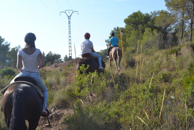 Paseo a caballo Les Rodanes