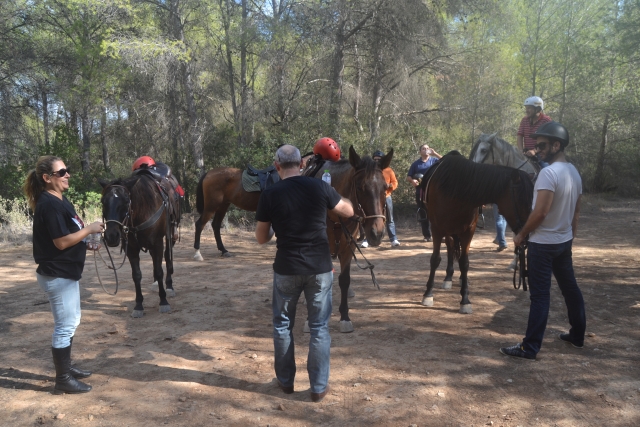 Descansado en mitad de la ruta a caballo
