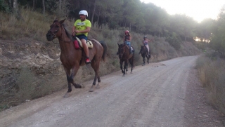 res_o-33733-rutas-a-caballo_de_josue-aloy-garcia_14732433859954.jpg
