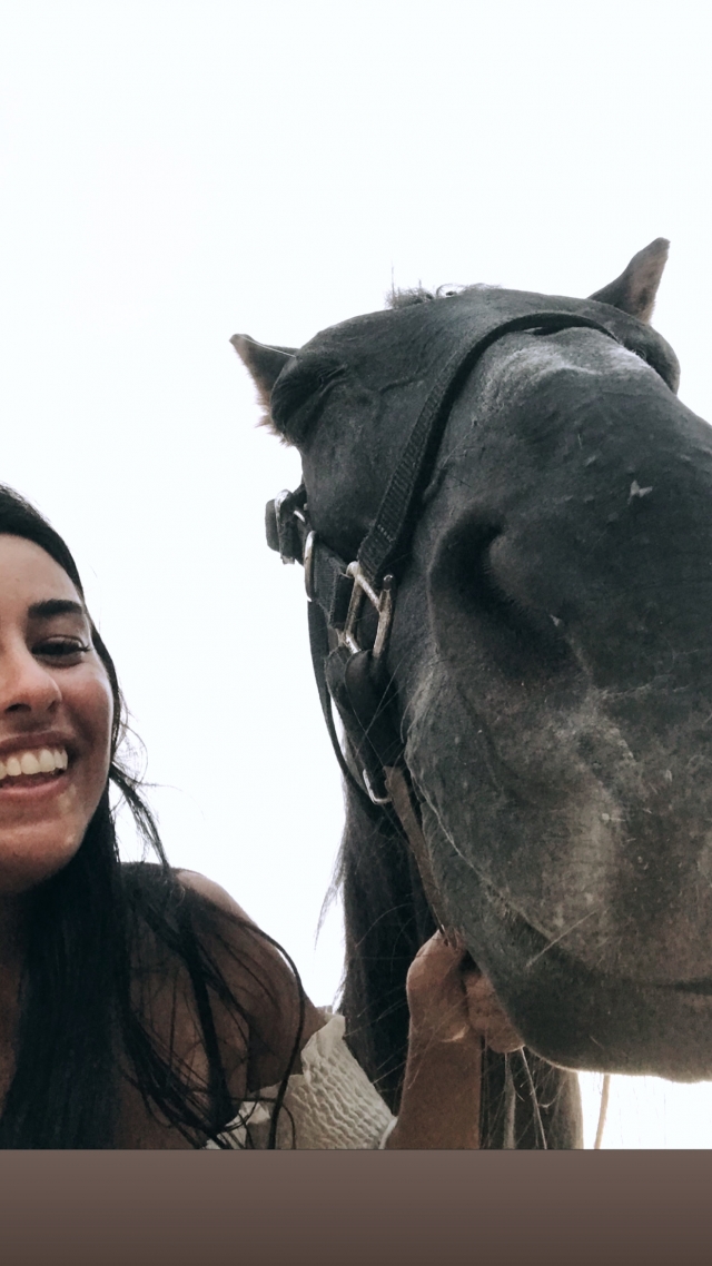 Opinión de PILAR sobre Ruta Caballo clase fotos Parque Natural Turia 90m
