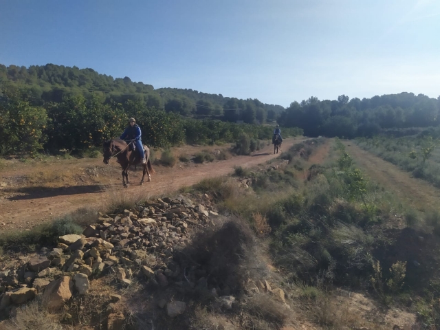 Opinión de Jarnigon sobre Ruta Caballo clase fotos Parque Natural Turia 90m