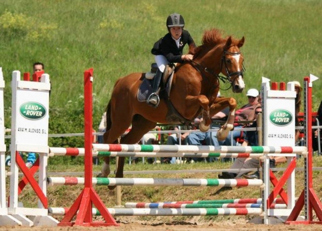 Saltos en concurso de hipica