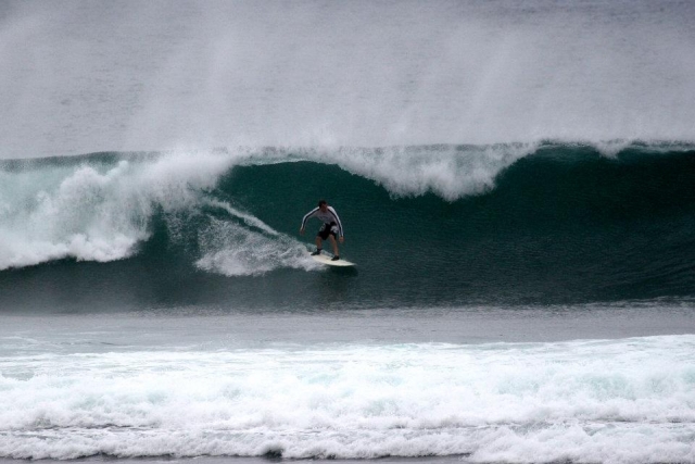 profesionales del surf