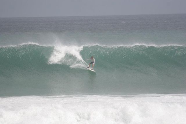 surfeando