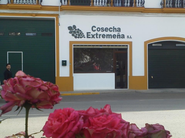 Tienda de vinos y degustación