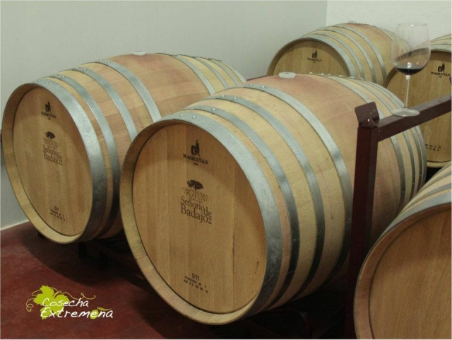 Barricas de roble americano y francés
