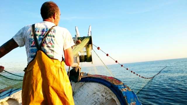 Sailor-tourism-costa-del-sol 1 