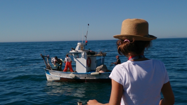  Turismo marino a Estepona 