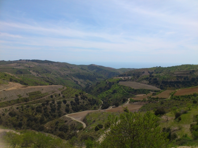  LANDSCAPES 