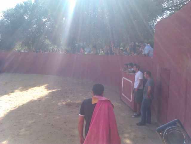  Aspettare che l'animale esca 