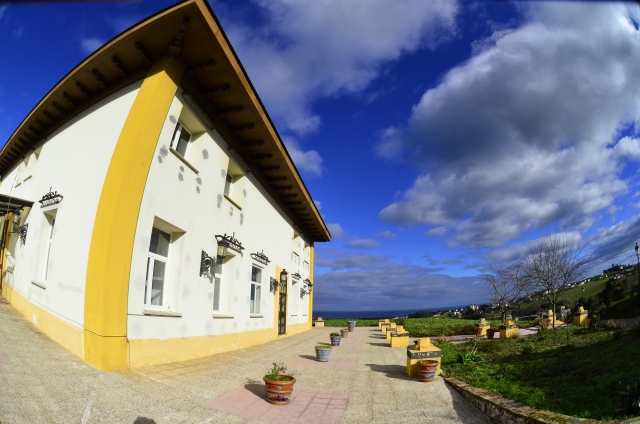  almasurfhouse 