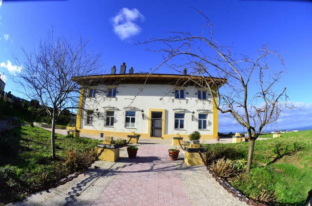 almasurfhouse 