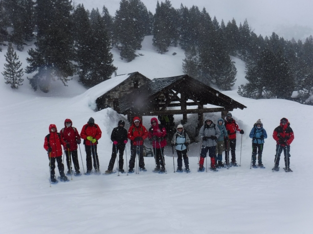  Ski group 