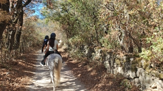 res_o-65917-rutas-a-caballo_de_ming-hui-guo-zhang_mmexport1759781784880_17597818247010.jpg