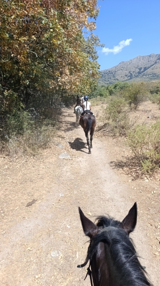 res_o-67434-rutas-a-caballo_de_ivan-valverde-gonzalez_17868993178650.jpg