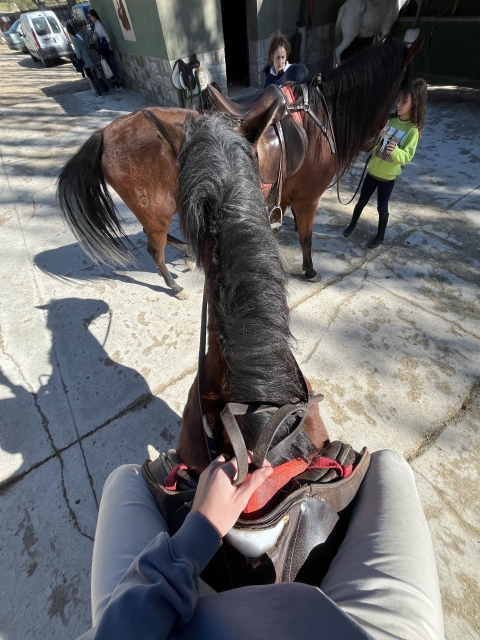 Avis de Anca concernant Parcours équestre dans la Sierra del Guadarrama 1 heure