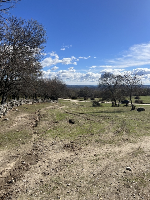 Avis de MING concernant Parcours équestre dans la Sierra del Guadarrama 1 heure