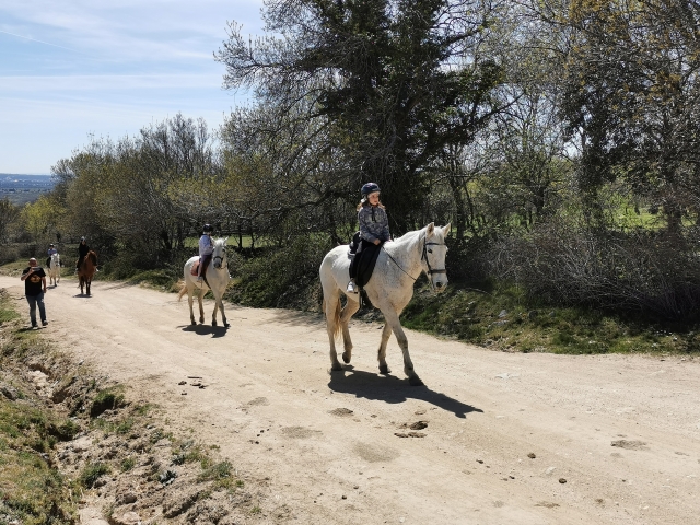 Bewertung von Sofia Über Reitroute in der Sierra del Guadarrama 1 Stunde