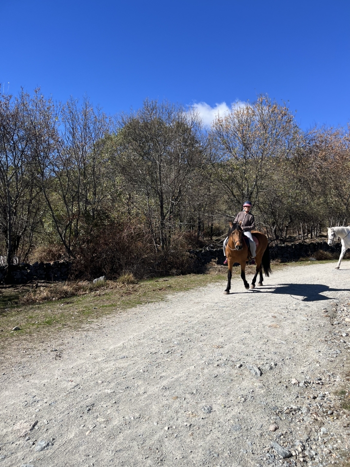 res_o-66090-rutas-a-caballo_de_pablo-camacho-simon_img-9330_17621735252215.jpeg