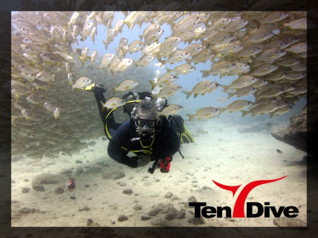 Buceo en acuario