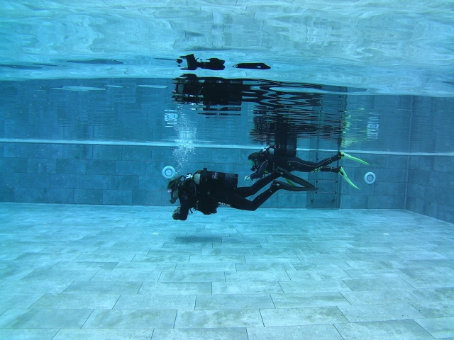  Pool diver 