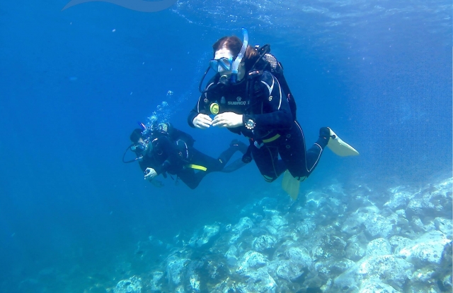  Open sea dives 