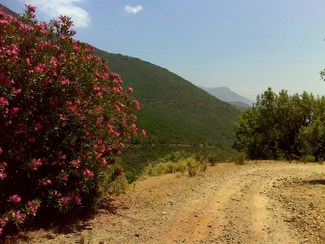  Percorso Ronda Marbella 
