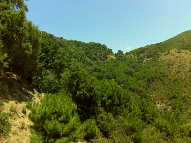  Percorso Ronda Marbella 