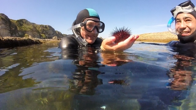  Con un riccio di mare 