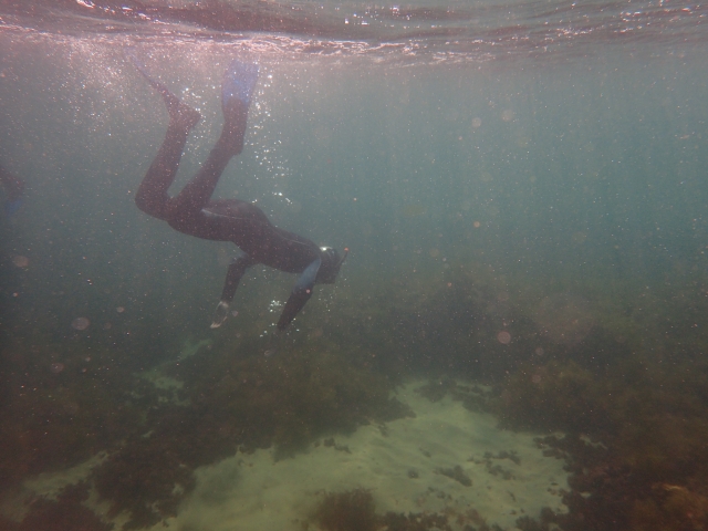  Inizio dell'immersione in mare 