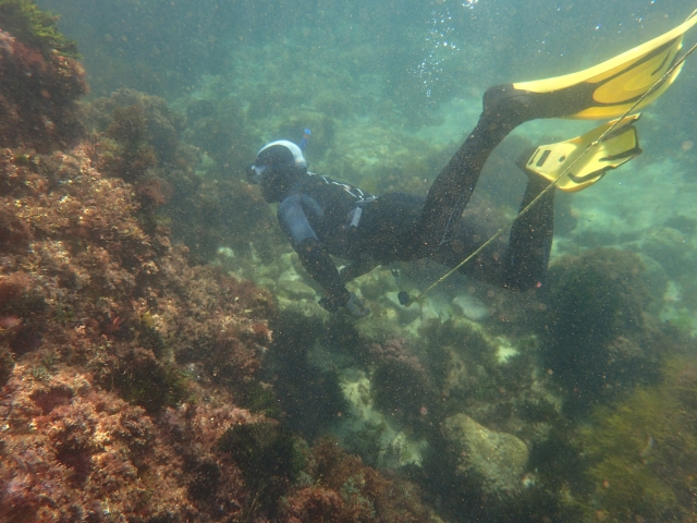  Sub durante l'immersione 