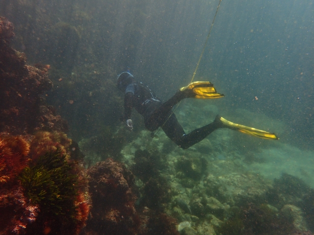  Immersione tra le rocce 