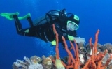 Cursos de buceo en Lugo
