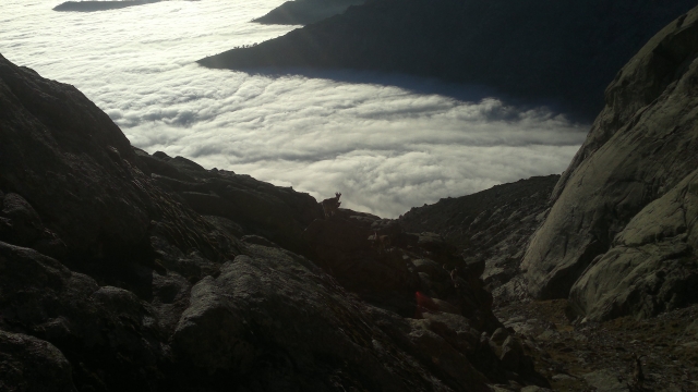 nubes