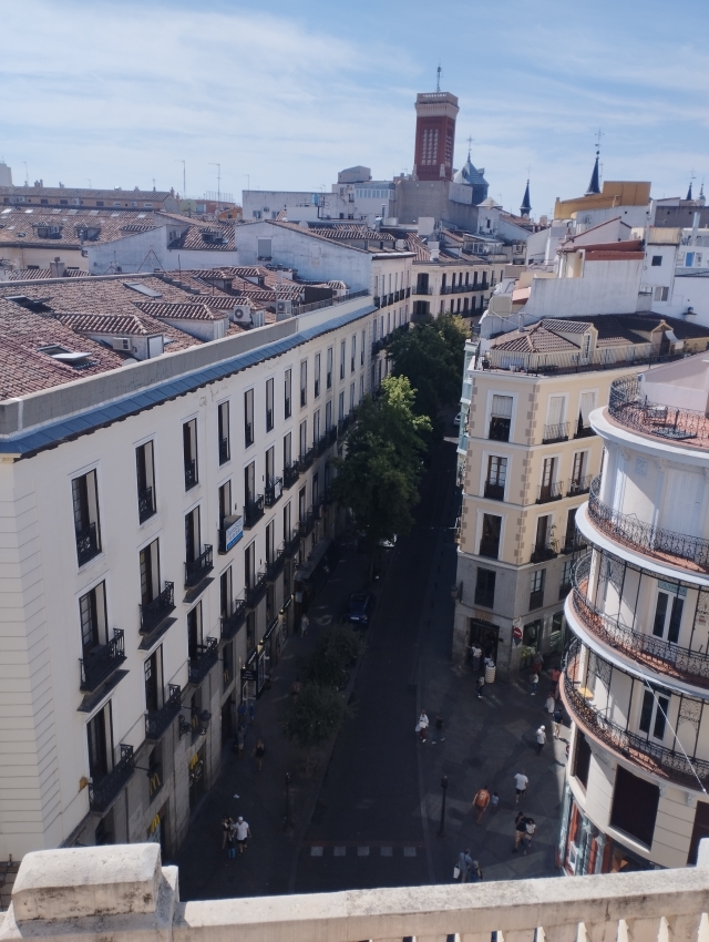 Opinión de Monica sobre Visita Guiada a la Casa Palazuelo de Madrid