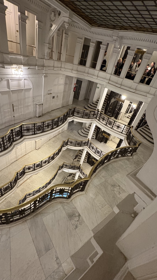 意见 Noelia 关于 马德里 Casa Palazuelo 导游陪同参观