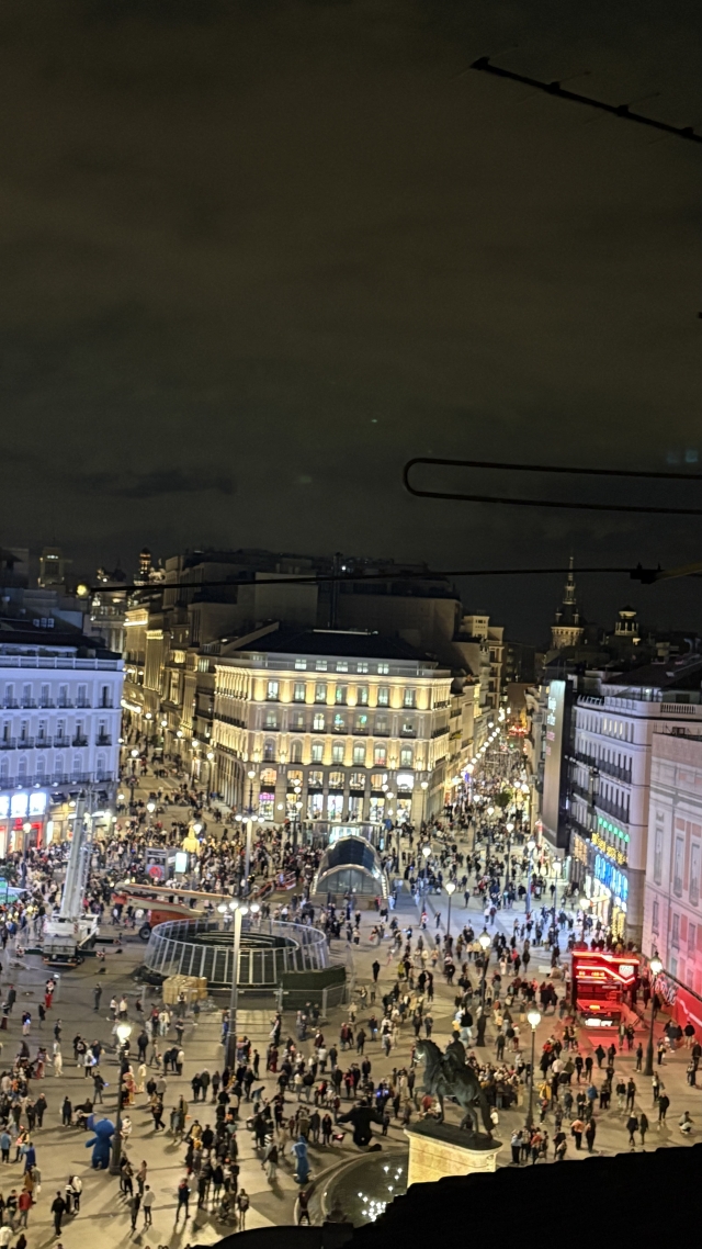 意见 Begoña 关于 马德里 Casa Palazuelo 导游陪同参观