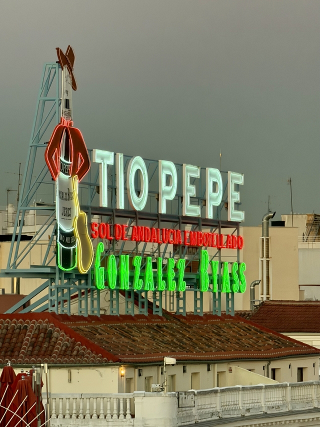 Bewertung von Encarna Über Geführte Besichtigung der Casa Palazuelo in Madrid