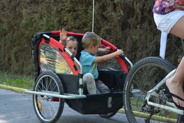 carrito