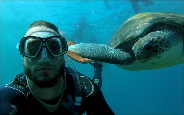 Schnorcheln mit Schildkröten 