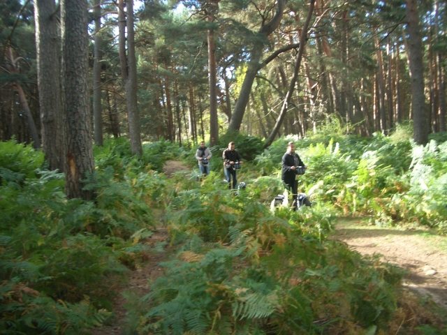 Visita delle felci della montagna in segway 